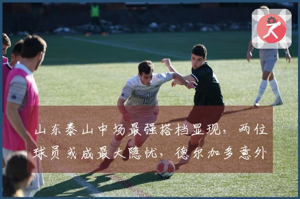 山东泰山中场最强搭档显现，两位球员或成最大隐忧，德尔加多意外在列
