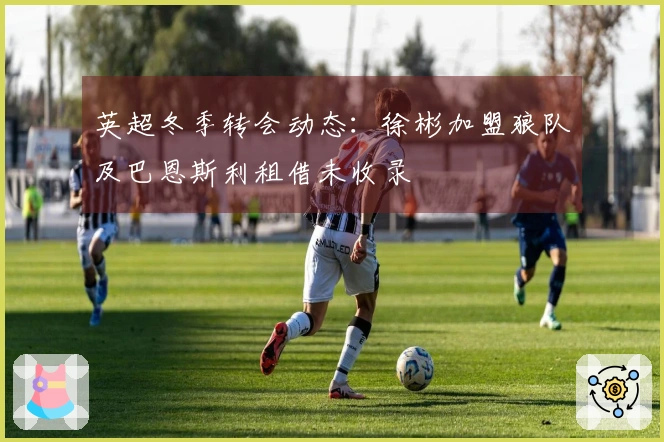 英超冬季转会动态：徐彬加盟狼队及巴恩斯利租借未收录